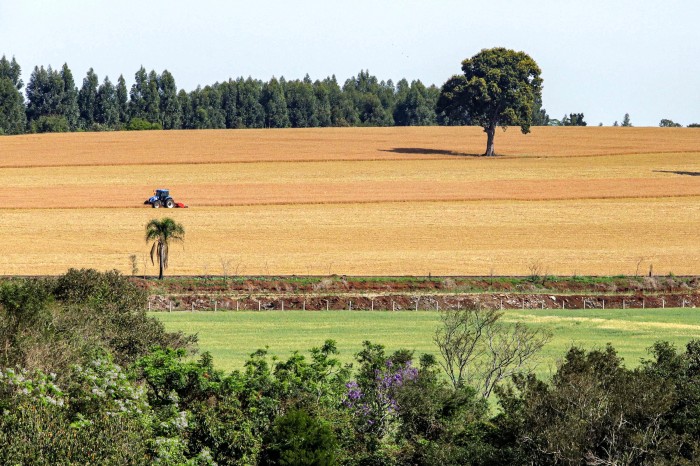 Foto: Roberto Dziura Jr/AEN