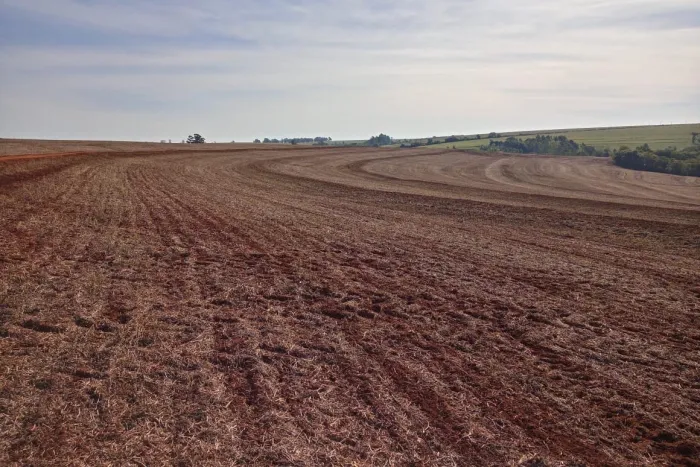 Foto: Camila Roberta Javorski Ueno/Adapar