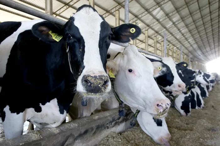 Foto: Jaelson Lucas / Arquivo AEN