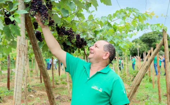 Governo do Tocantins promove intercâmbio em Goiás para fortalecimento da assistência técnica rural