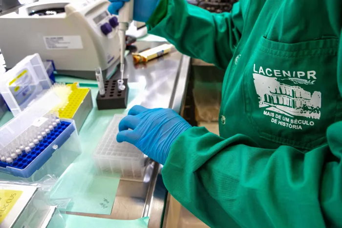 Foto: Roberto Dziura Jr/AEN