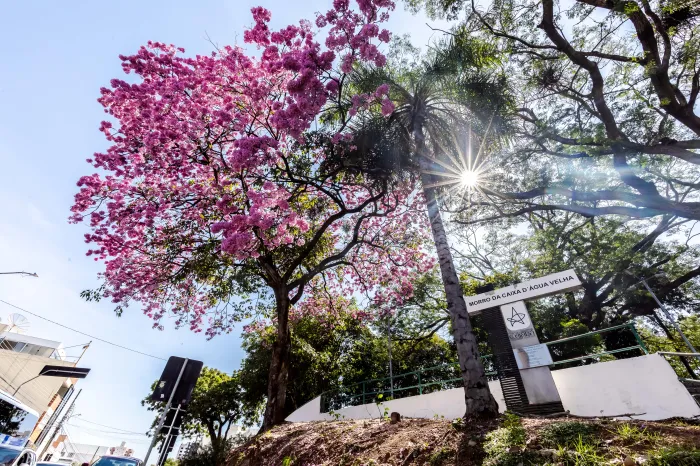 Museus, Aquário e Feira Viva estarão abertos no feriado de Corpus Christi