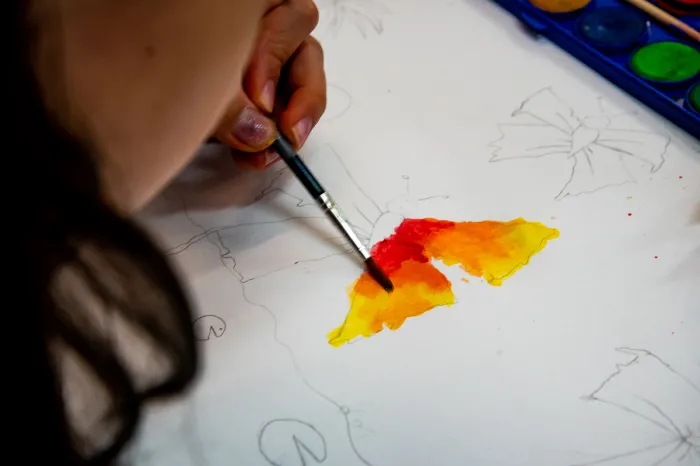 Foto: Reprodução/Secom Paraná