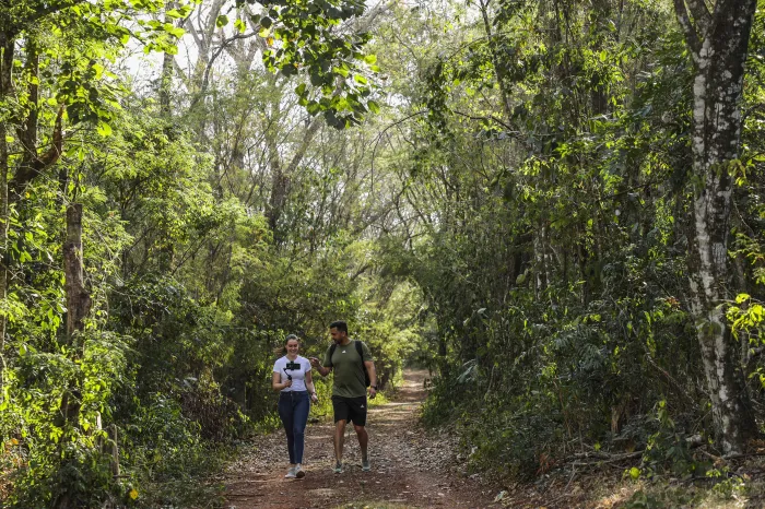 Foto: Daniel Castellano/SEDEST-PR