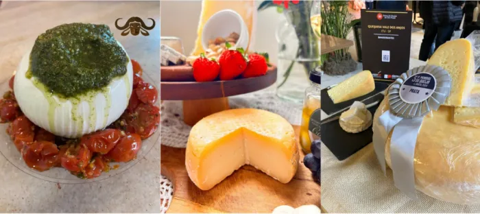 Rota do Queijo: 6 produtores artesanais perto de SP para visitar em um bate e volta