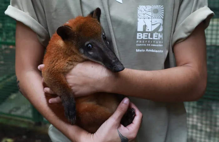 Crédito: Paula Lourinho